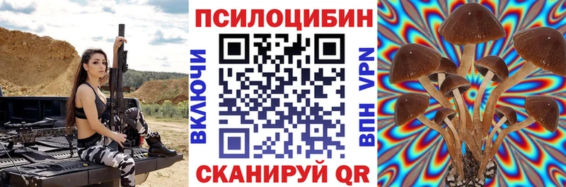 площадка состав  Пестово  Галлюциногенные грибы MAGIC MUSHROOMS 